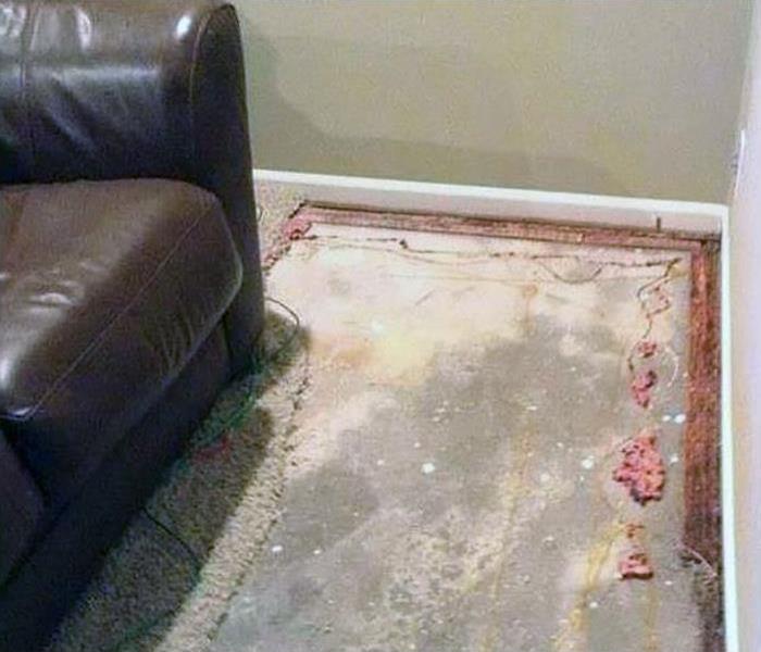 water damaged carpeting