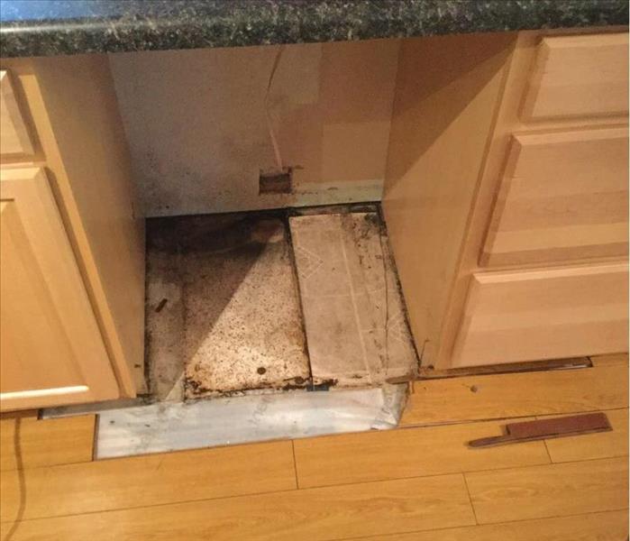 Appliance removed revealing water damage under a kitchen base cabinet